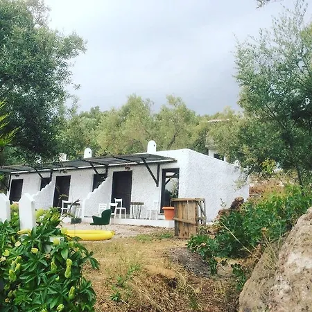 Kotti Margot * Sazlı