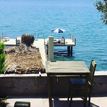 Hotel Kotti Margot Sazlı
