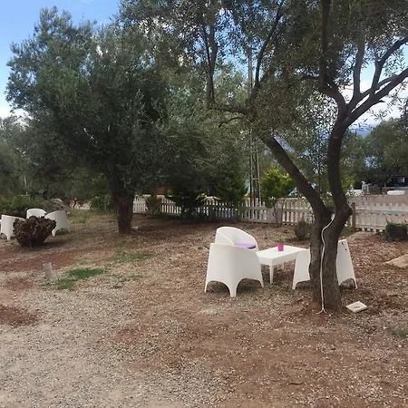 Kotti Margot Sazlı