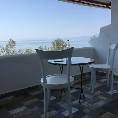 Kotti Margot Sazlı