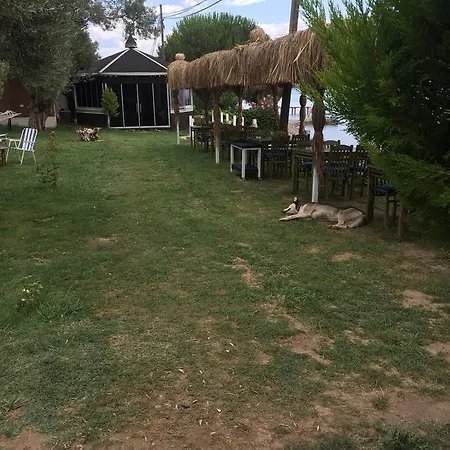 Kotti Margot Sazlı