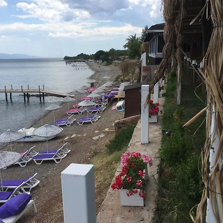Kotti Margot Hotel Sazlı